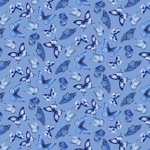 Blue Jubilee - πεταλούδες ανοιχτόχρωμες